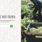 Allfresh Grocery Store Template kit - Image 7