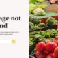 Nablus Organic Food Agriculture Template kit - Image 8