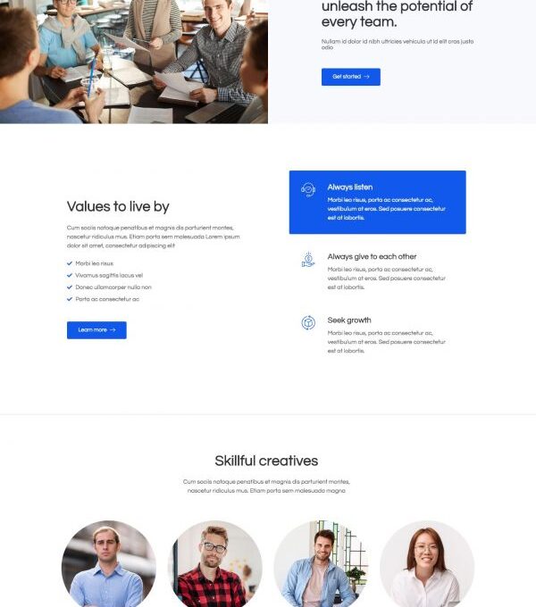 Nivos Software Company Template kit - Image 15