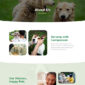 Petcare Pet Boarding and Care Centre Template kit - Image 20