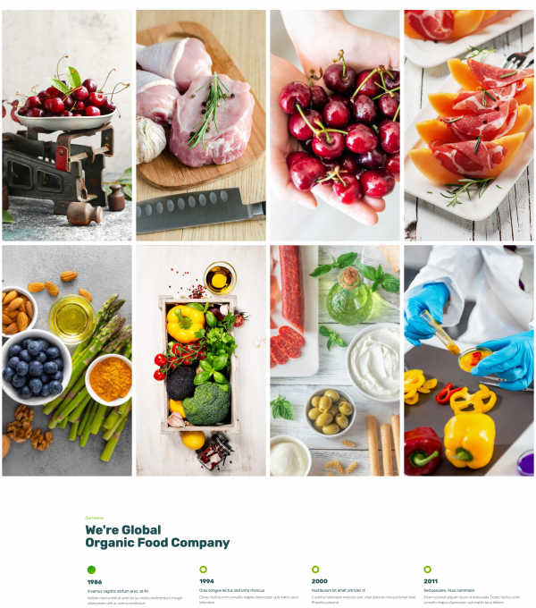 Farmino Organic Food Template kit - Image 30