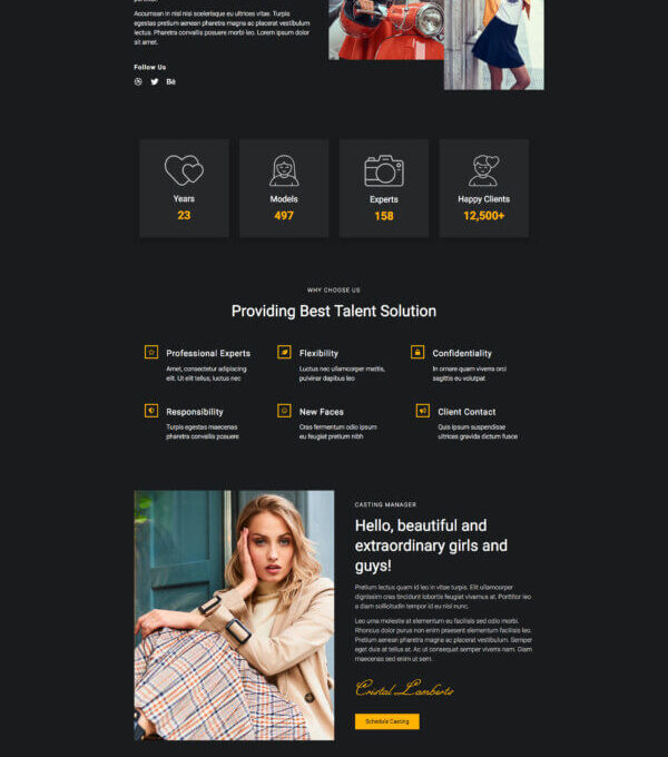 Alasia Model Agency Elementor Template Kitl - Image 26