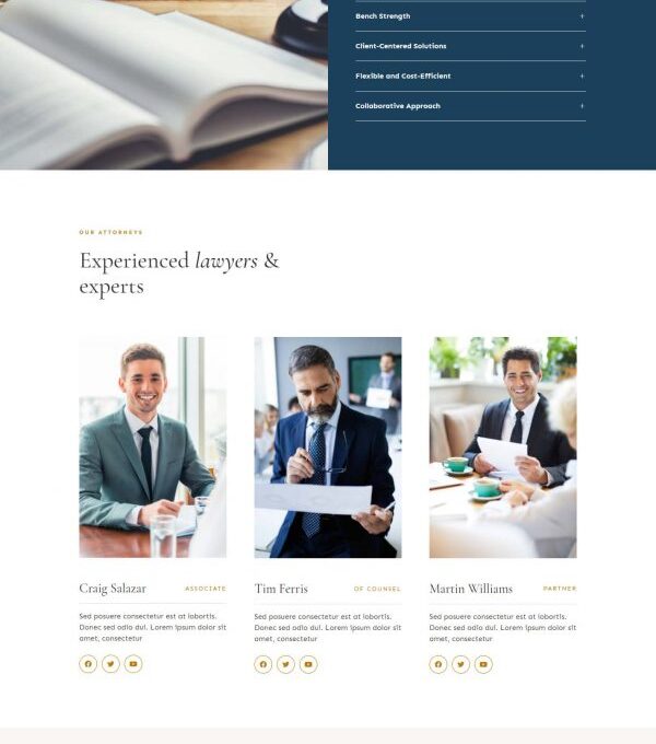 Defacto Lawyer Law Firm Elementor Template kit - Image 11