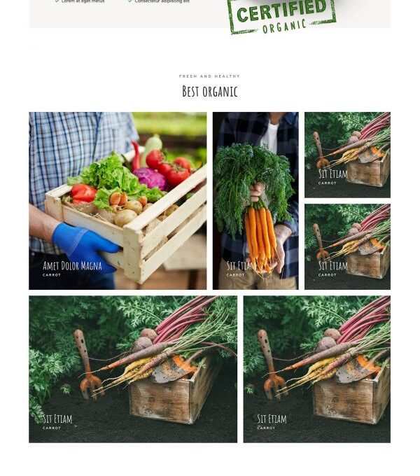 Allfresh Grocery Store Template kit - Image 14