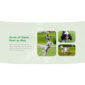 Petcare Pet Boarding and Care Centre Template kit - Image 16