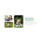 Petcare Pet Boarding and Care Centre Template kit - Image 17