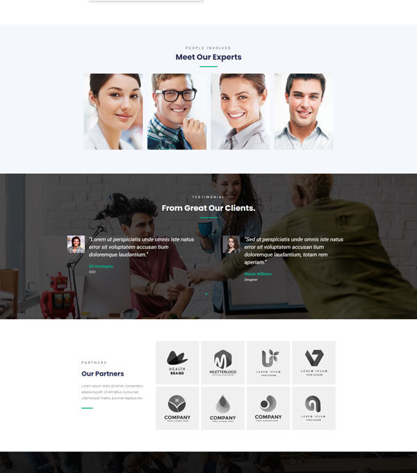 Konsultan kit Consulting Business Elementor Templa - Elementor Template Kit - Image 3