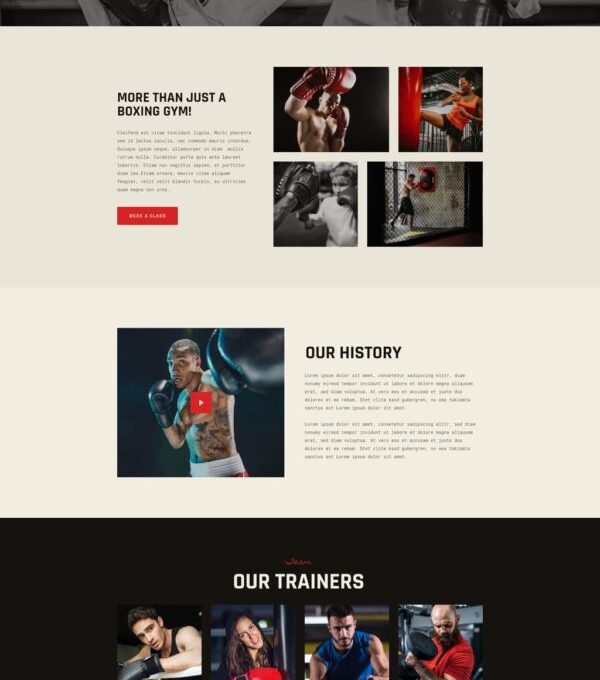 Rumble Boxing Mma Fighting Elementor Template kit - Image 15