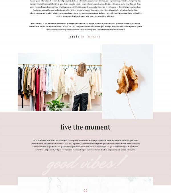 Fashion Feel Woocommerce Elementor Template kit - Image 13