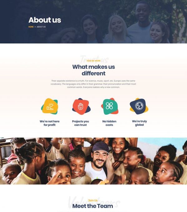 Helpnest Charity Elementor Template kit - Image 12