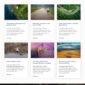 Dtech Business Services Elementor Template kit - Image 3