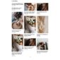 Blog4life Blog Magazine Elementor Template kit - Image 4