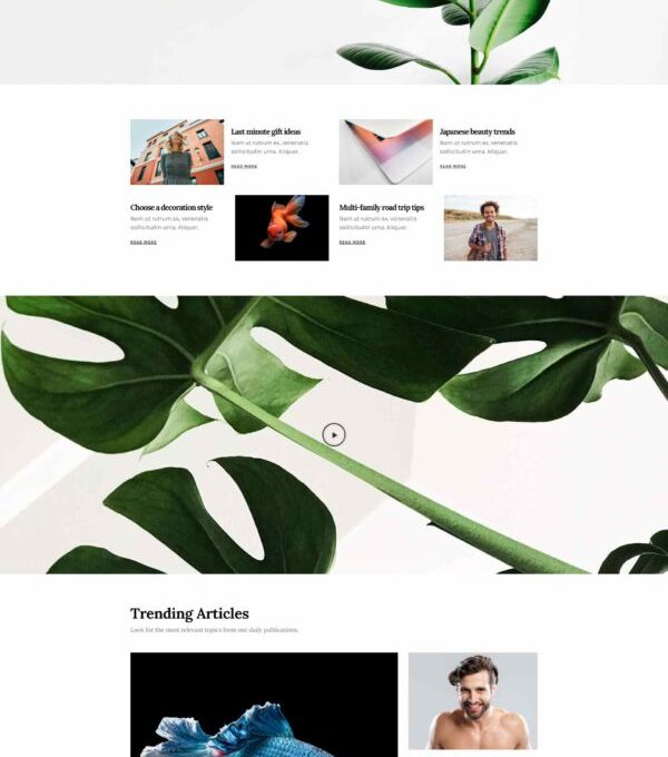 Katelyn Modern Blog Template kit - Image 8