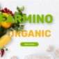 Farmino Organic Food Template kit - Image 21