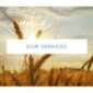 Wellness Elementor Template kit - Image 20