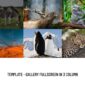 Impacto Patronus Petitions Social Activism Templat - Elementor Template Kit - Image 20