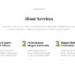 Touraza Tour Elementor Template kit - Image 31