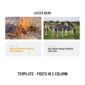 Impacto Patronus Petitions Social Activism Templat - Elementor Template Kit - Image 18