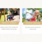 Childhood Kids Child Care Center Template kit - Image 30