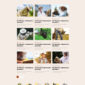Modhu Beekeeping Honey Elementor Template kit - Image 20