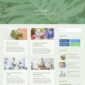 Monty Florist Flower Boutique Decoration Elementor - Elementor Template Kit - Image 13
