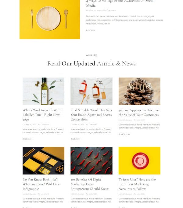 Noemi Creative Agency Portfolio Template kit - Image 9