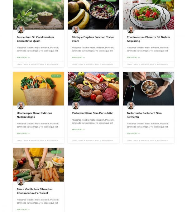 Allfresh Grocery Store Template kit - Image 10