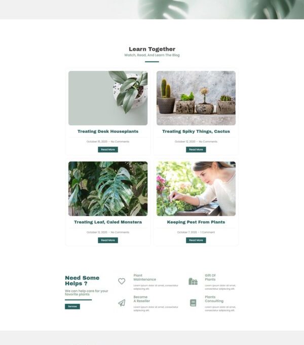 Plantsy Houseplants Elementor Template kit - Image 10