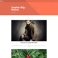 Poro Photography Template kit - Image 21
