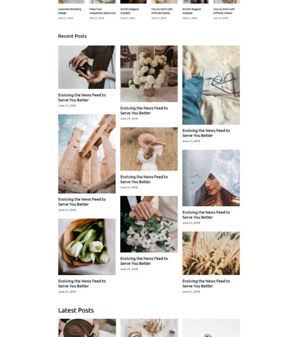 Blog4life Blog Magazine Elementor Template kit - Image 8