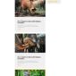Impacto Patronus Petitions Social Activism Templat - Elementor Template Kit - Image 34