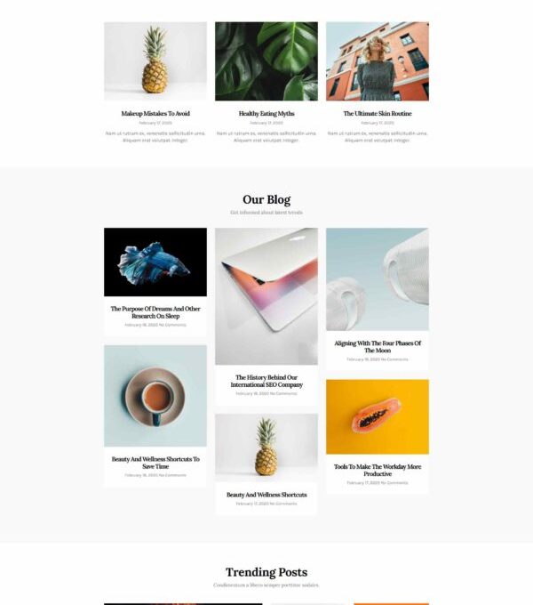 Katelyn Modern Blog Template kit - Image 14