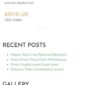 Semeru Furniture Store Elementor Template kit - Image 5
