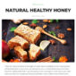 Orgakit Organic Farm Elementor Template kit - Image 10