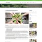 Eko Environment Ecology Template kit - Image 5