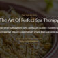 Ewa Beauty Spa Salon Elementor Template kit - Image 18