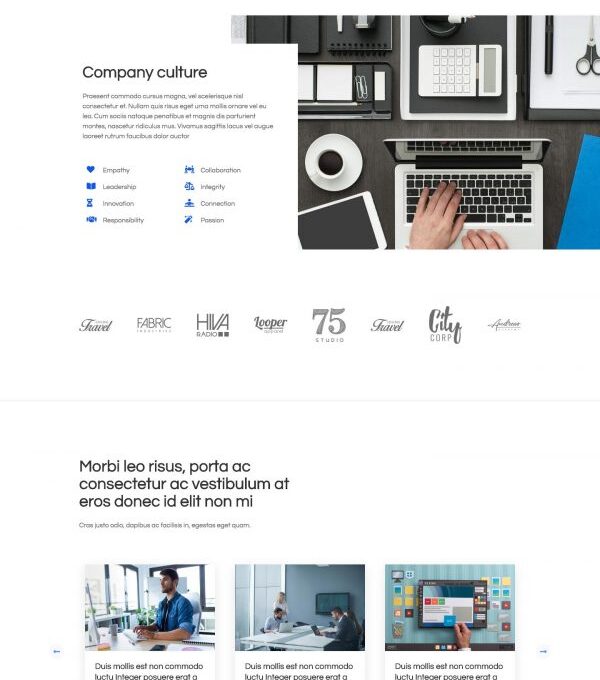 Nivos Software Company Template kit - Image 3