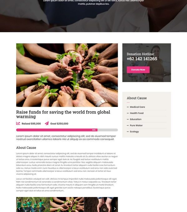 Ngoo Non Profit Charity Template kit - Image 9