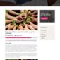 Ngoo Non Profit Charity Template kit - Image 9