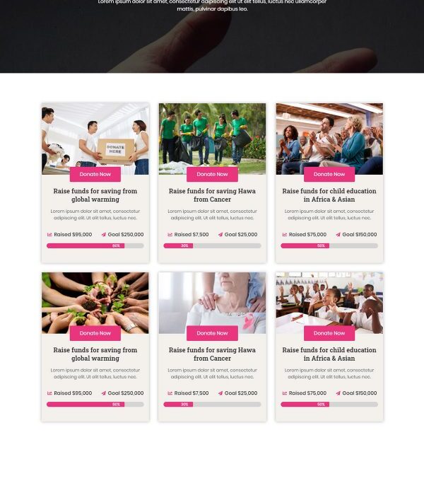 Ngoo Non Profit Charity Template kit - Image 10