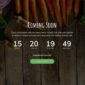 Allfresh Grocery Store Template kit - Image 12