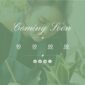 Monty Florist Flower Boutique Decoration Elementor - Elementor Template Kit - Image 12