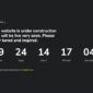 Porta Creative Portfolio Template kit - Image 11