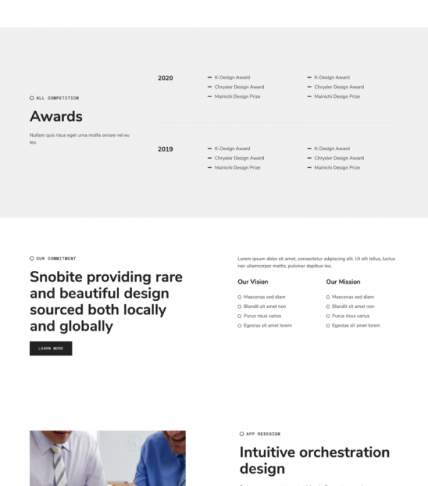 Snobite Clean Minimal Portfolio Elementor Template - Elementor Template Kit - Image 7