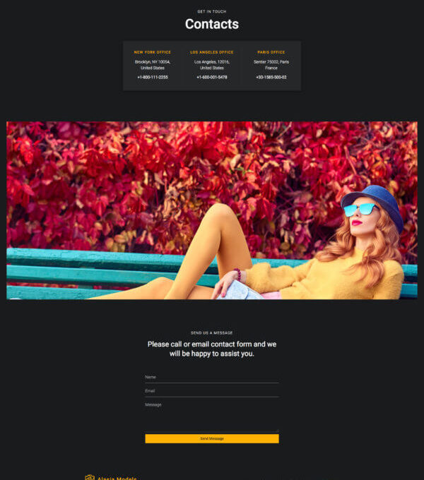 Alasia Model Agency Elementor Template Kitl - Image 24