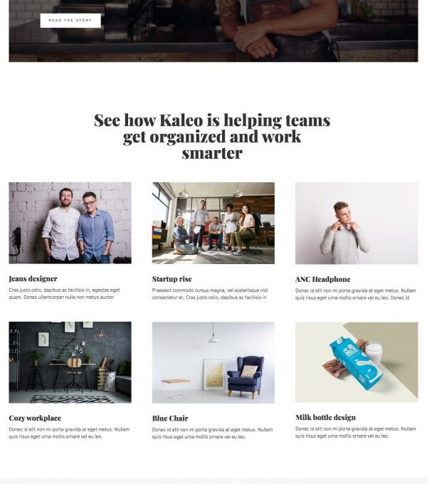 Kaleo Creative Portfolio Template kit - Image 13