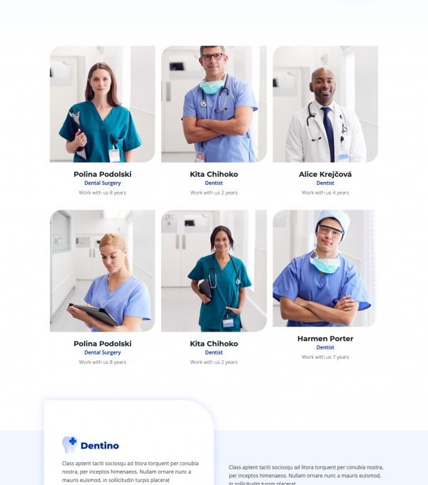 Dentino Dental Clinic Template kit - Image 6