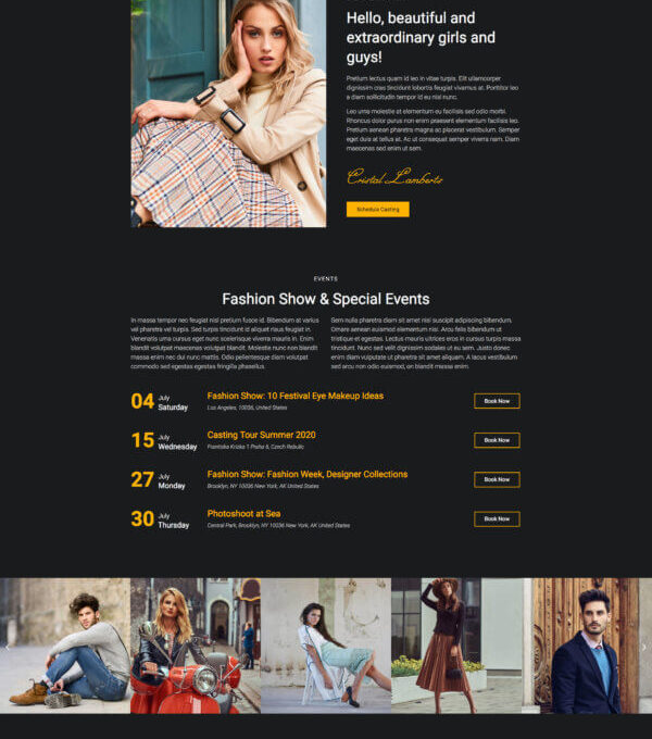 Alasia Model Agency Elementor Template Kitl - Image 23