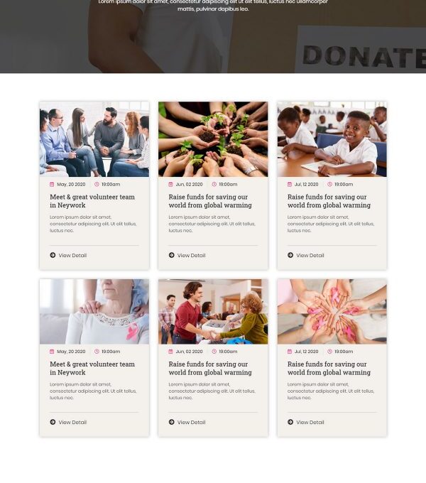 Ngoo Non Profit Charity Template kit - Image 6