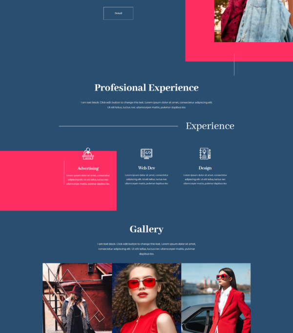 Exposure Personal Portfolio Elementor Template kit - Image 8